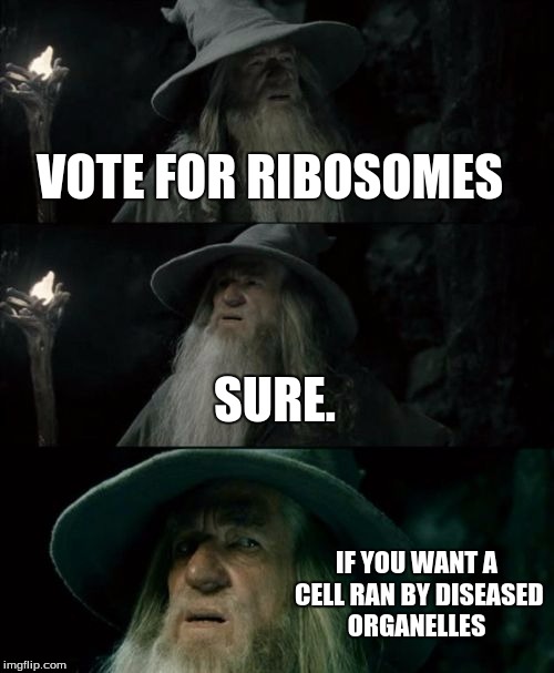 Confused Gandalf Meme | VOTE FOR RIBOSOMES SURE. IF YOU WANT A CELL RAN BY DISEASED ORGANELLES | image tagged in memes,confused gandalf | made w/ Imgflip meme maker