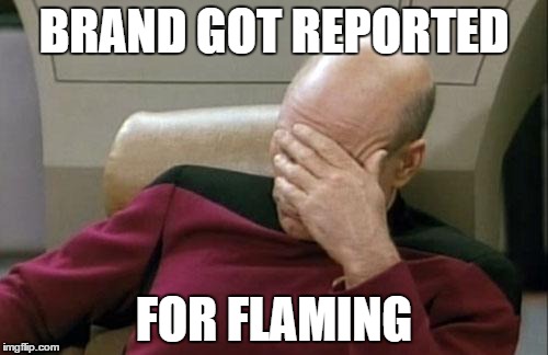 Captain Picard Facepalm | BRAND GOT REPORTED FOR FLAMING | image tagged in memes,captain picard facepalm | made w/ Imgflip meme maker