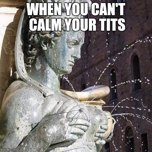 Ever been so pissed off? | WHEN YOU CAN'T CALM YOUR TITS | image tagged in calm down,tits | made w/ Imgflip meme maker