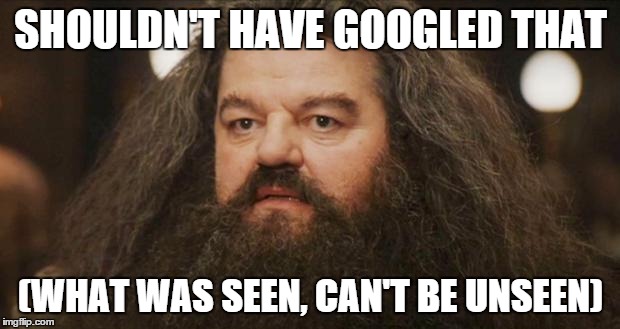 SHOULDN'T HAVE GOOGLED THAT (WHAT WAS SEEN, CAN'T BE UNSEEN) | made w/ Imgflip meme maker