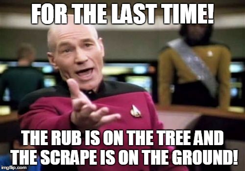 Picard Wtf | FOR THE LAST TIME! THE RUB IS ON THE TREE AND THE SCRAPE IS ON THE GROUND! | image tagged in memes,picard wtf,whitetail deer,bowhunting,deer,hunting | made w/ Imgflip meme maker