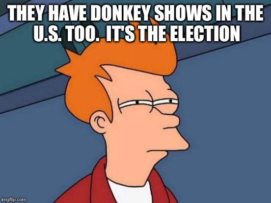 Futurama Fry Meme | THEY HAVE DONKEY SHOWS IN THE U.S. TOO.  IT'S THE ELECTION | image tagged in memes,futurama fry | made w/ Imgflip meme maker