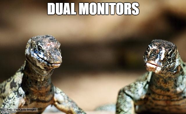 Dual Monitors | DUAL MONITORS | image tagged in homophones,monitors | made w/ Imgflip meme maker