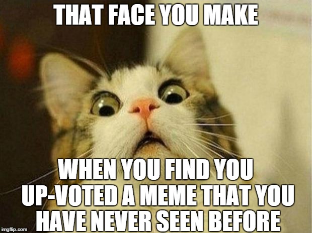 I found one right now... | THAT FACE YOU MAKE WHEN YOU FIND YOU UP-VOTED A MEME THAT YOU HAVE NEVER SEEN BEFORE | image tagged in memes,scared cat,upvotes,surprised | made w/ Imgflip meme maker