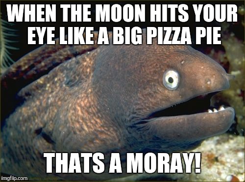 Eel, that is. | WHEN THE MOON HITS YOUR EYE LIKE A BIG PIZZA PIE THATS A MORAY! | image tagged in memes,bad joke eel | made w/ Imgflip meme maker