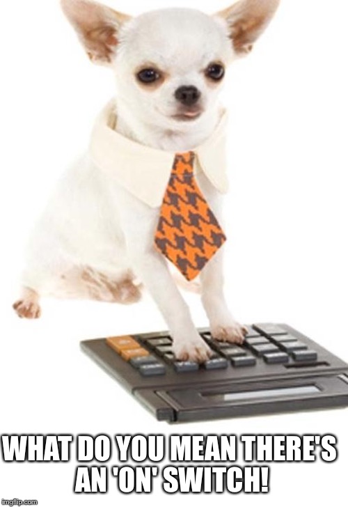 baby doge reflection calculator