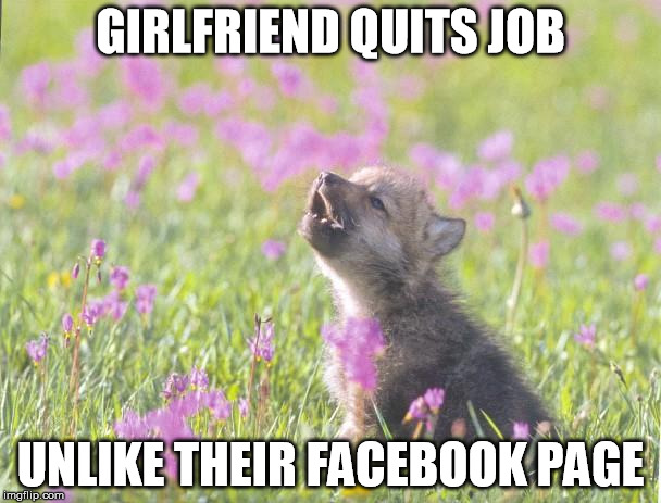 Baby Insanity Wolf Meme | GIRLFRIEND QUITS JOB UNLIKE THEIR FACEBOOK PAGE | image tagged in memes,baby insanity wolf,AdviceAnimals | made w/ Imgflip meme maker