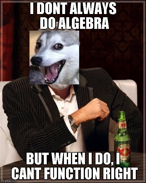 The Most Interesting Man In The World | I DONT ALWAYS DO ALGEBRA BUT WHEN I DO, I CANT FUNCTION RIGHT | image tagged in memes,the most interesting man in the world,bad joke dog | made w/ Imgflip meme maker