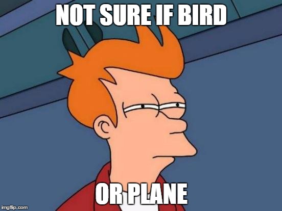 Futurama Fry | NOT SURE IF BIRD OR PLANE | image tagged in memes,futurama fry | made w/ Imgflip meme maker