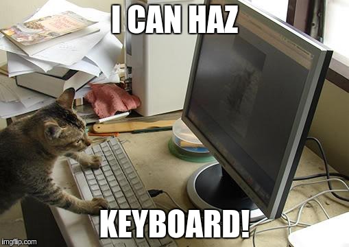 I CAN HAZ KEYBOARD! | image tagged in cat and lcd monitor | made w/ Imgflip meme maker