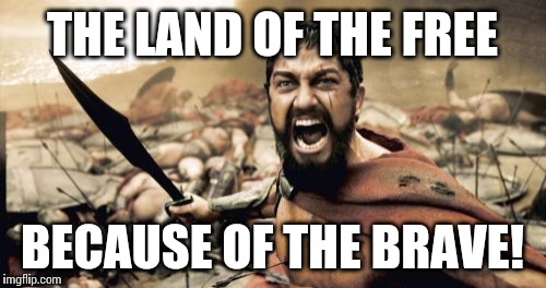 Sparta Leonidas Meme | THE LAND OF THE FREE BECAUSE OF THE BRAVE! | image tagged in memes,sparta leonidas | made w/ Imgflip meme maker