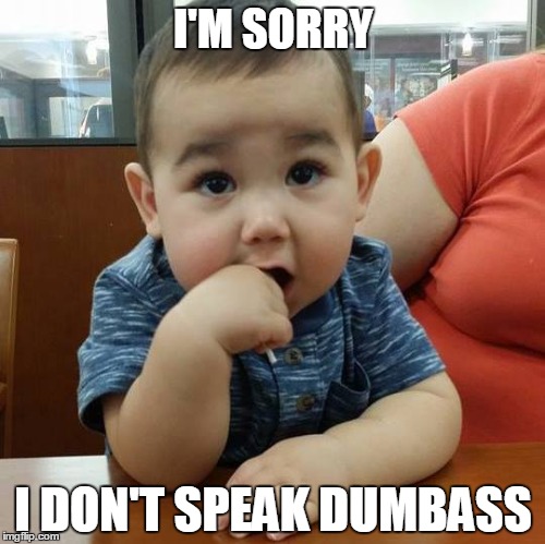 I'M SORRY I DON'T SPEAK DUMBASS | image tagged in baby,dumbass,stupid,what,funny,meme | made w/ Imgflip meme maker