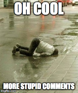 stupid comments | OH COOL MORE STUPID COMMENTS | image tagged in stupid comments,meme,fallen man | made w/ Imgflip meme maker