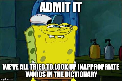 Don't You Squidward Meme | ADMIT IT WE'VE ALL TRIED TO LOOK UP INAPPROPRIATE WORDS IN THE DICTIONARY | image tagged in memes,dont you squidward | made w/ Imgflip meme maker