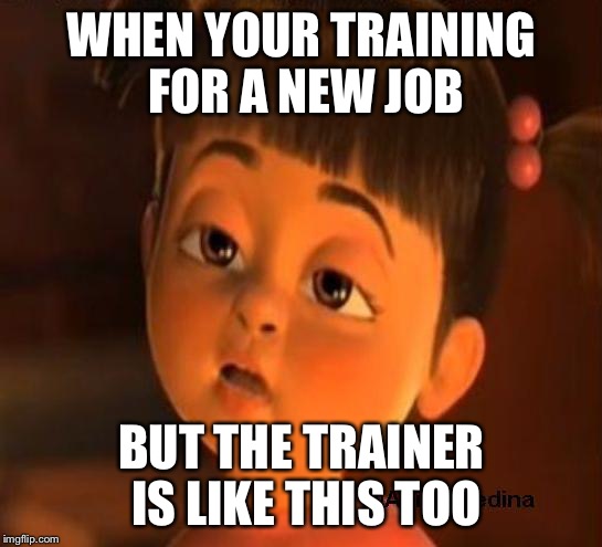 Sleepy girl | WHEN YOUR TRAINING FOR A NEW JOB BUT THE TRAINER IS LIKE THIS TOO | image tagged in sleepy girl | made w/ Imgflip meme maker