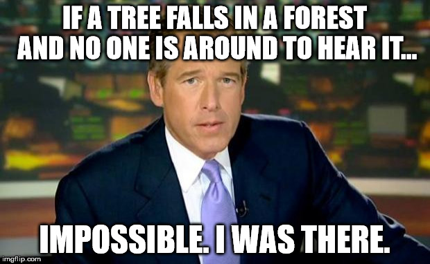 Brian Williams Was There | IF A TREE FALLS IN A FOREST AND NO ONE IS AROUND TO HEAR IT... IMPOSSIBLE. I WAS THERE. | image tagged in memes,brian williams was there | made w/ Imgflip meme maker