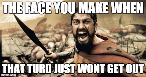 Sparta Leonidas Meme | THE FACE YOU MAKE WHEN THAT TURD JUST WONT GET OUT | image tagged in memes,sparta leonidas | made w/ Imgflip meme maker