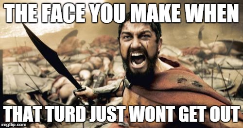 Sparta Leonidas | THE FACE YOU MAKE WHEN THAT TURD JUST WONT GET OUT | image tagged in memes,sparta leonidas | made w/ Imgflip meme maker