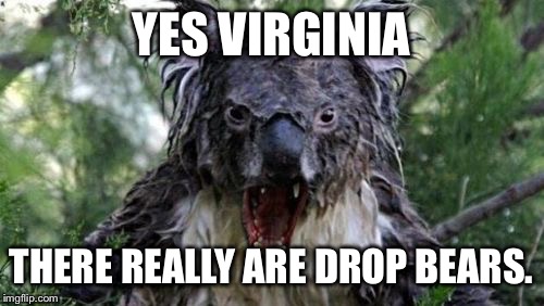 Angry Koala Meme | YES VIRGINIA THERE REALLY ARE DROP BEARS. | image tagged in memes,angry koala | made w/ Imgflip meme maker