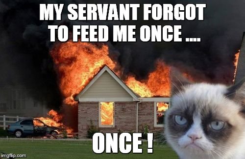 Burn Kitty | MY SERVANT FORGOT TO FEED ME ONCE .... ONCE ! | image tagged in memes,burn kitty | made w/ Imgflip meme maker