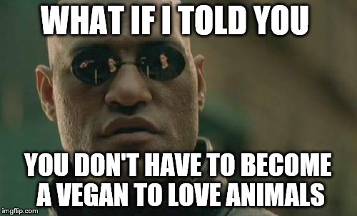 WHAT IF I TOLD YOU YOU DON'T HAVE TO BECOME A VEGAN TO LOVE ANIMALS | image tagged in memes,matrix morpheus | made w/ Imgflip meme maker