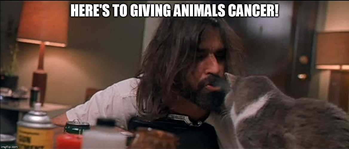 HERE'S TO GIVING ANIMALS CANCER! | image tagged in boondock saints rocco stoner cat | made w/ Imgflip meme maker