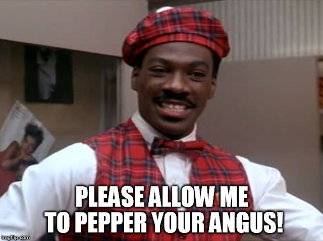 PLEASE ALLOW ME TO PEPPER YOUR ANGUS! | made w/ Imgflip meme maker