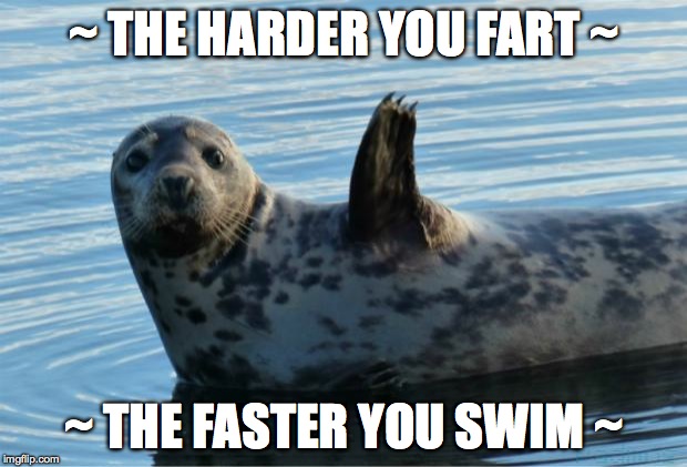 Seal | ~ THE HARDER YOU FART ~ ~ THE FASTER YOU SWIM ~ | image tagged in seal | made w/ Imgflip meme maker