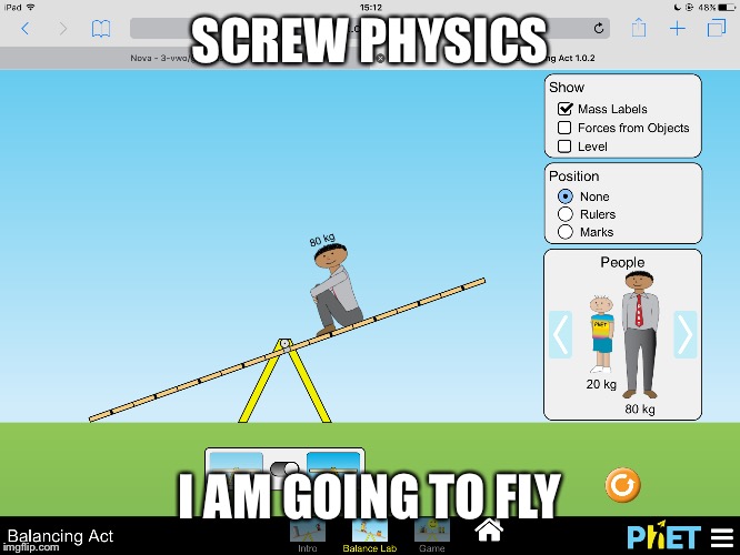 this just happend suring science class at school | SCREW PHYSICS I AM GOING TO FLY | image tagged in wtf | made w/ Imgflip meme maker