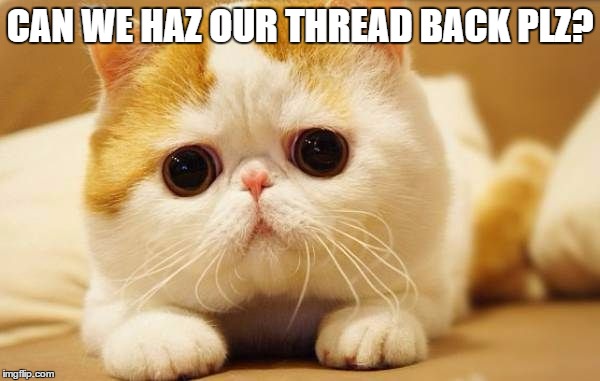 CAN WE HAZ OUR THREAD BACK PLZ? | made w/ Imgflip meme maker