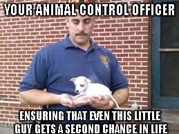 Pet guardians | YOUR ANIMAL CONTROL OFFICER ENSURING THAT EVEN THIS LITTLE GUY GETS A SECOND CHANCE IN LIFE | image tagged in animal meme | made w/ Imgflip meme maker