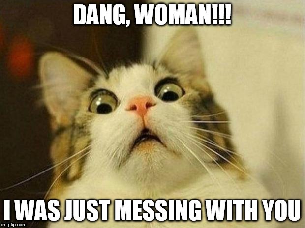 Scared Cat Meme | DANG, WOMAN!!! I WAS JUST MESSING WITH YOU | image tagged in memes,scared cat | made w/ Imgflip meme maker