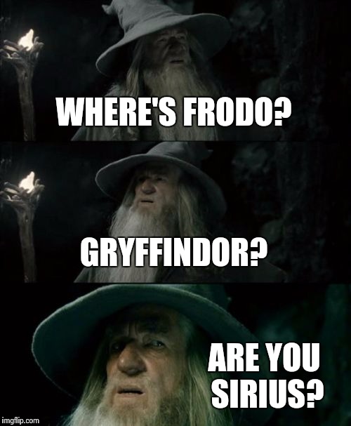 Confused Gandalf | WHERE'S FRODO? GRYFFINDOR? ARE YOU SIRIUS? | image tagged in memes,confused gandalf | made w/ Imgflip meme maker