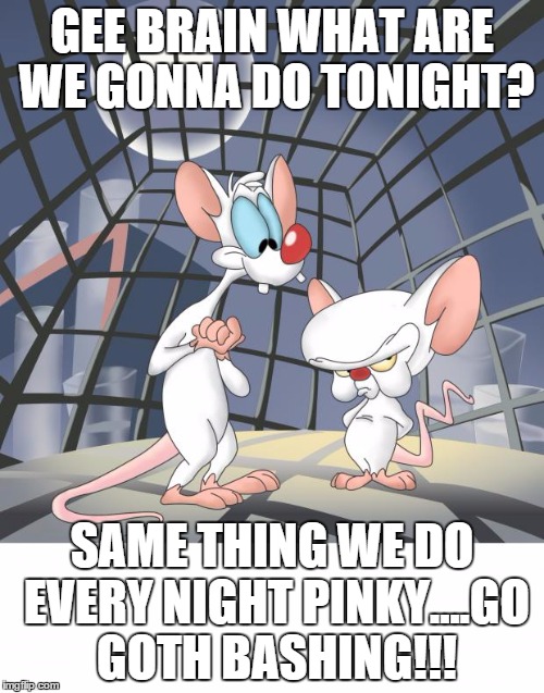 Pinky and the brain | GEE BRAIN WHAT ARE WE GONNA DO TONIGHT? SAME THING WE DO EVERY NIGHT PINKY....GO GOTH BASHING!!! | image tagged in pinky and the brain | made w/ Imgflip meme maker