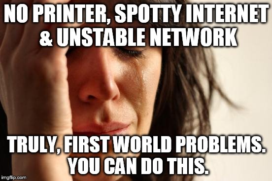 First World Problems | NO PRINTER, SPOTTY INTERNET & UNSTABLE NETWORK TRULY, FIRST WORLD PROBLEMS. YOU CAN DO THIS. | image tagged in memes,first world problems | made w/ Imgflip meme maker