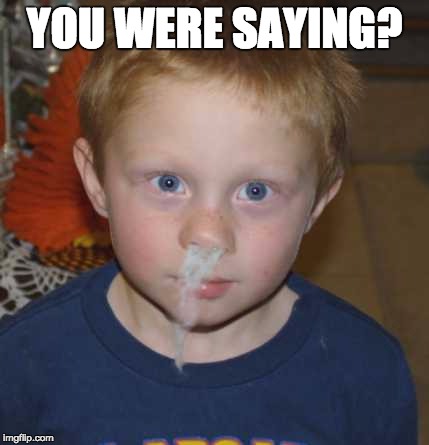 YOU WERE SAYING? | image tagged in snot nosed kid | made w/ Imgflip meme maker