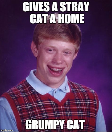 Bad Luck Brian Meme | GIVES A STRAY CAT A HOME GRUMPY CAT | image tagged in memes,bad luck brian | made w/ Imgflip meme maker