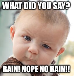 Skeptical Baby | WHAT DID YOU SAY? RAIN! NOPE NO RAIN!! | image tagged in memes,skeptical baby | made w/ Imgflip meme maker