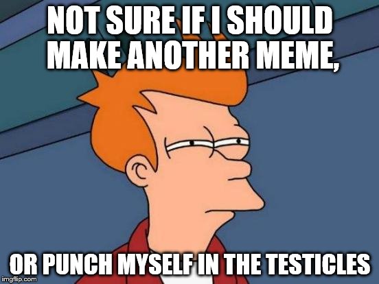 Futurama Fry | NOT SURE IF I SHOULD MAKE ANOTHER MEME, OR PUNCH MYSELF IN THE TESTICLES | image tagged in memes,futurama fry | made w/ Imgflip meme maker