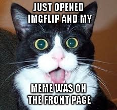 This didn't really happen, but if it did, I would totally look like that...LOL | JUST OPENED IMGFLIP AND MY MEME WAS ON THE FRONT PAGE | image tagged in surprised cat,memes,funny cat,funny,imgflip | made w/ Imgflip meme maker