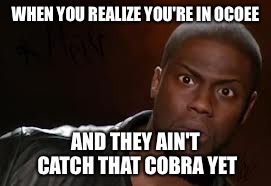 Kevin Hart | WHEN YOU REALIZE YOU'RE IN OCOEE AND THEY AIN'T CATCH THAT COBRA YET | image tagged in memes,kevin hart the hell | made w/ Imgflip meme maker
