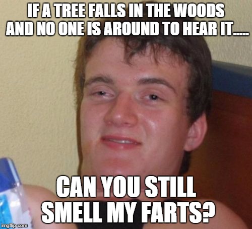 10 Guy | IF A TREE FALLS IN THE WOODS AND NO ONE IS AROUND TO HEAR IT..... CAN YOU STILL SMELL MY FARTS? | image tagged in memes,10 guy | made w/ Imgflip meme maker