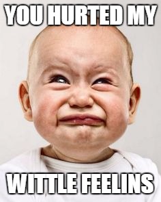 Hurt feelings | YOU HURTED MY WITTLE FEELINS | image tagged in cry baby,funny | made w/ Imgflip meme maker