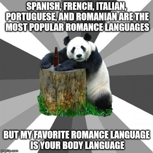 Pickup Line Panda | SPANISH, FRENCH, ITALIAN, PORTUGUESE, AND ROMANIAN ARE THE MOST POPULAR ROMANCE LANGUAGES BUT MY FAVORITE ROMANCE LANGUAGE IS YOUR BODY LANG | image tagged in memes,pickup line panda | made w/ Imgflip meme maker