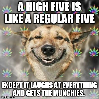 Stoner Dog | A HIGH FIVE IS LIKE A REGULAR FIVE EXCEPT IT LAUGHS AT EVERYTHING AND GETS THE MUNCHIES. | image tagged in stoner dog | made w/ Imgflip meme maker