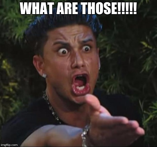 DJ Pauly D Meme | WHAT ARE THOSE!!!!! | image tagged in memes,dj pauly d | made w/ Imgflip meme maker