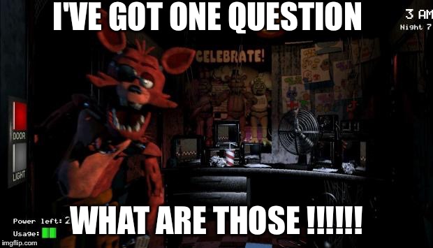 Foxy Five Nights at Freddy's | I'VE GOT ONE QUESTION WHAT ARE THOSE !!!!!! | image tagged in foxy five nights at freddy's | made w/ Imgflip meme maker