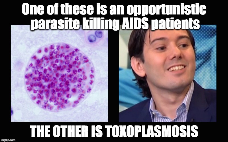 Hard to tell them apart | One of these is an opportunistic parasite killing AIDS patients THE OTHER IS TOXOPLASMOSIS | image tagged in martin shkreli,toxoplasmosis,asshole | made w/ Imgflip meme maker