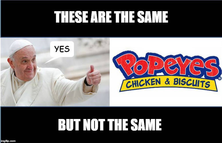 THESE ARE THE SAME BUT NOT THE SAME | image tagged in grammar not see,pope francis,grammar,memes,original meme | made w/ Imgflip meme maker