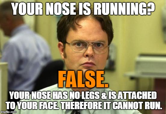 Dwight Schrute Meme | YOUR NOSE IS RUNNING? YOUR NOSE HAS NO LEGS & IS ATTACHED TO YOUR FACE. THEREFORE IT CANNOT RUN. FALSE. | image tagged in memes,dwight schrute | made w/ Imgflip meme maker